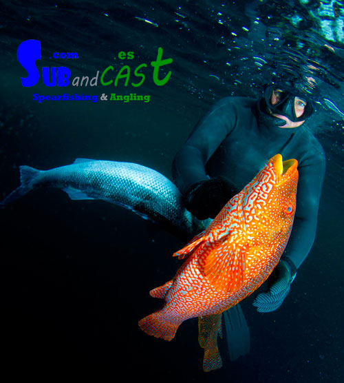 Spearfishing course in ireland1
